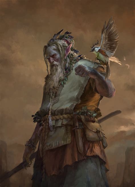 Top 15 Dandd Best Druid Art Gamers Decide
