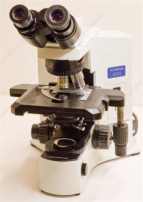 Compound Light Microscope Stock Image C0033637 Science Photo Library