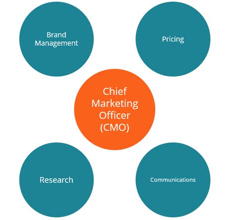 Chief Marketing Officer Cmo Responsibilities Salary