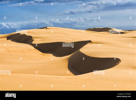 Remote Sand Dunes On A Sunny Summer Day With Untouched Sand Surface