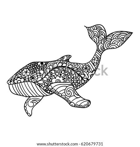 Whale Vector Zentangle Print Adult Coloring Stock Vector 620679731