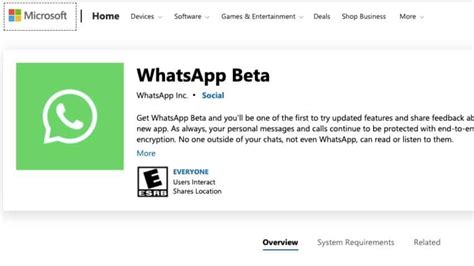 Whatsapp Beta For Windows Available For Download Official Link How