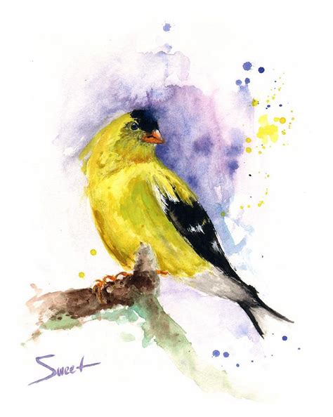 American Goldfinch Watercolor Painting By Eric Sweet