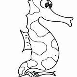 Seahorse Coloring Outline Drawing Seaweed Stick Tall Around Using Its sketch template