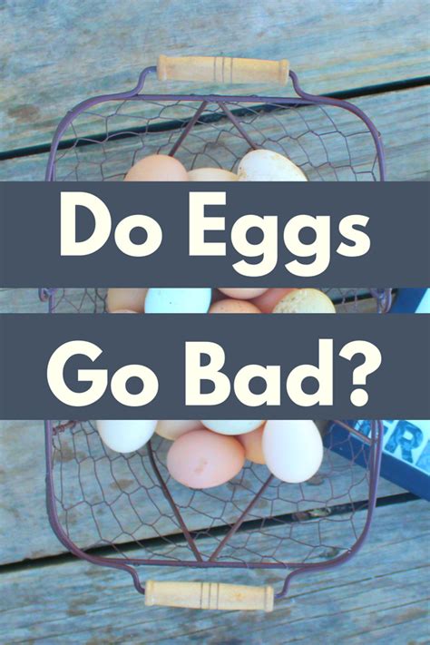 Do Eggs Go Bad How Long Do Eggs Last Can Eggs Go Bad Here S Answers