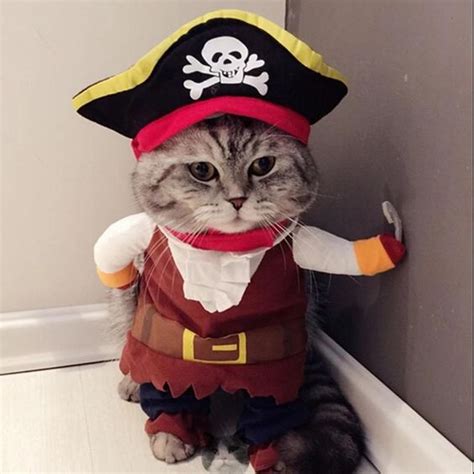 13 Pirate Cat Costume