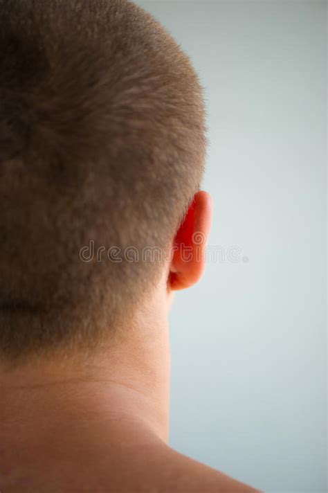Man S Head And Nape Stock Photo Image Of Head Business 32028678