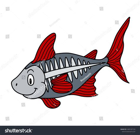 Cartoon Animal Xray Fish Vector Illustration Stock Vector Royalty Free