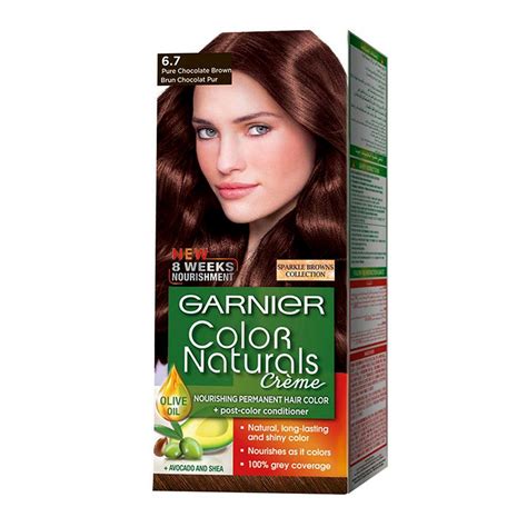 Buy Garnier Color Natural Pure Chocolate Brown 67 Hair Color Hair