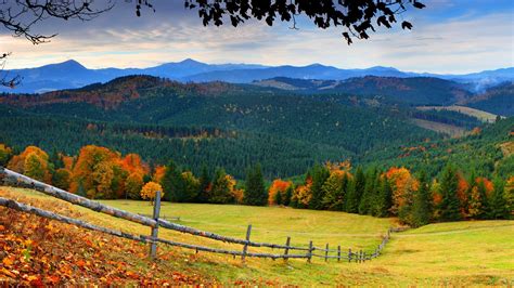 Wallpaper Forest Trees Mountains Grass Leaves Fence