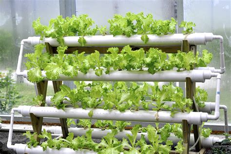 But before we get into that, let's talk about the finer details of hydroponics and how you can incorporate this concept into. Hydroponic Systems in a Greenhouse - Garden & Greenhouse