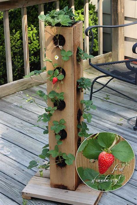 30 Vertical Planter Ideas That Show Your Creativity Page 12 Gardenholic