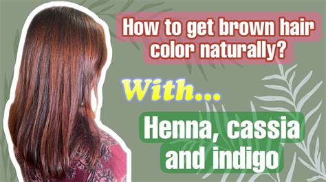How To Get Brown Hair Color With Henna Cassia And Indigo In One Step