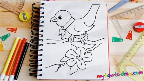 How To Draw A Bird Easy Step By Step Drawing Lessons For