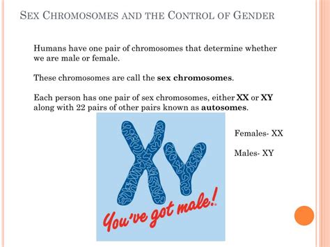 Ppt 43 Theoretical Genetics Powerpoint Presentation Free Download