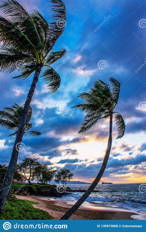 Sunset Beach Hawaii Palm Tree Free Photo Sunset Hawaii Oahu Free