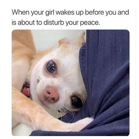 When Your Girl Wakes Up Before You And Is About To Disturb Your Peace