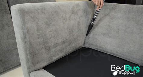 How to Get Rid of Bed Bugs on Couches and Furniture