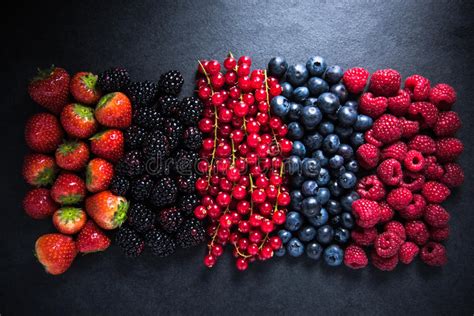 All Berries Fresh From Farm Or Forest Stock Image Image Of Diet