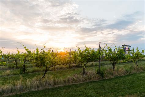 7 Local Wineries To Stop And Smell The Rosé Discover Peoria Il