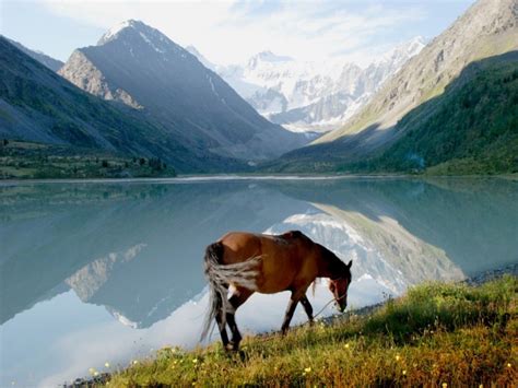 Mountain Pictures Altai Mountains Kazakhstan