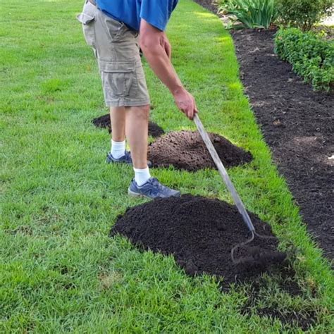 How To Repair Holes In Lawn