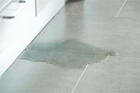 We specialize in repairs, remodels and tankless water heaters. Slab Leak Repair Carrollton TX | Slab Leak Detection ...
