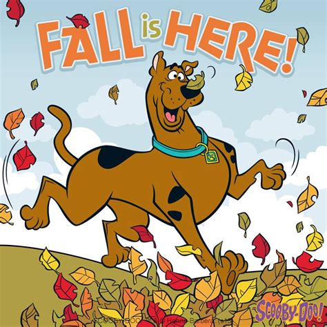 Fall Is Here Scooby Doo Images Scooby Doo Scooby Doo Pictures