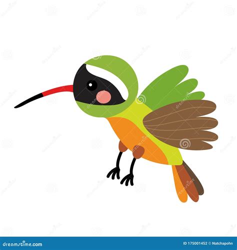 Flying Xantus Hummingbird Animal Cartoon Character Vector Illustration