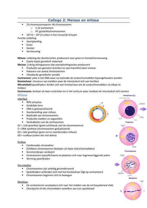 Van Cel Tot Molecuul College Aantekeningen College 2 Meiose En