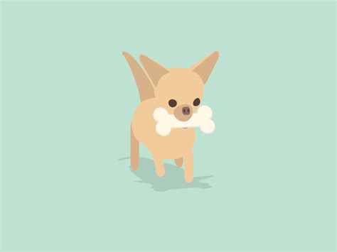 Chihuahua Dog Animation Flip Book Animation Cute Cartoon Animals