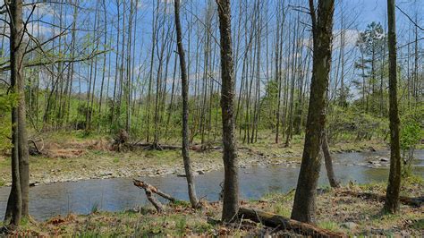 A united country account will allow you to track your favorite properites, keep informed of price changes, updated on sales status. Dundee Farm for sale in VA | Gayle Harvey Real Estate, Inc.