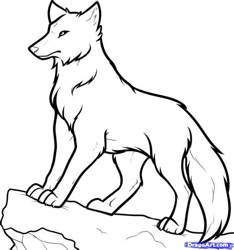 Easy Wolf Drawing Step By Step At Explore Collection Of Easy Wolf Drawing