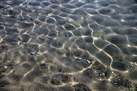 Free Images Coast Water Rock Underwater Pebble Turtle Reptile