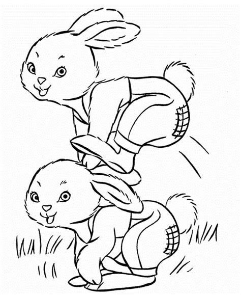 Cottontail Rabbit Coloring Pages New Coloring Pages Bunny Coloring