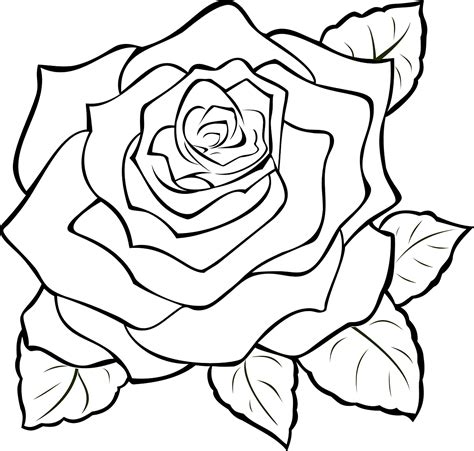 How to make drawing of rose: 14 free printable rose stencils | Flower drawing, Roses drawing ...