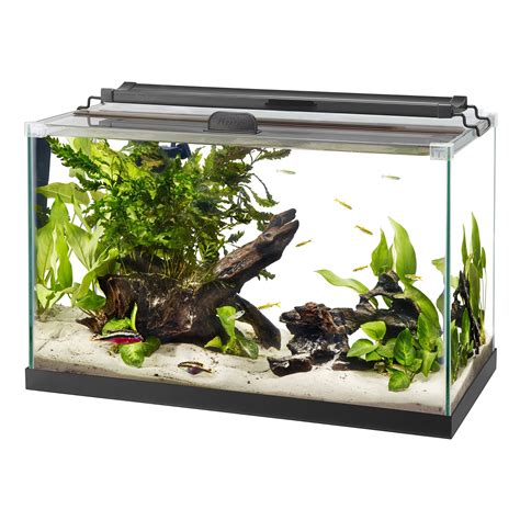 Aqueon Rimless Black Tank Aquarium 10 Gallon Petco