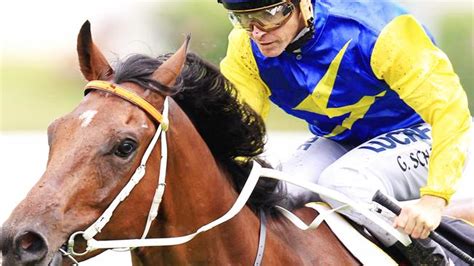 Randwick Tips Inside Mail Big Bets And Market Movers Kris Lees