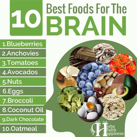 Top 10 Best Foods For The Brain Herbs Health And Happiness