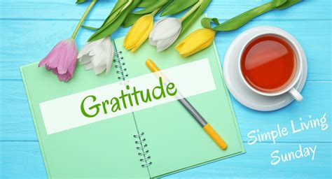 Simple Living Sunday Your Gratitude Practice Boomer Eco Crusader