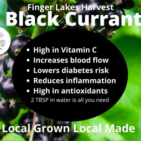 Black Currant Tonic Finger Lakes Harvest