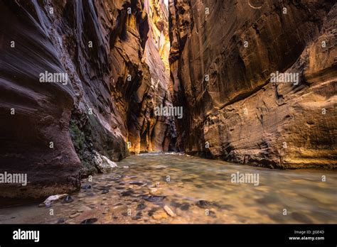 Wall Street Section In The Narrows Zion National Park Utah America