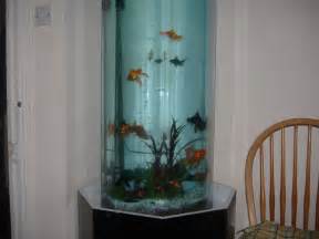 fish tanks for sale Giant Aquariums: Large Acrylic 10 foot long fish 
