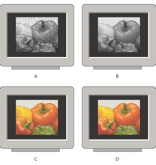 The maximum number of colors that can be displayed at any one time is 256 or 2 8. Bit-Depth page