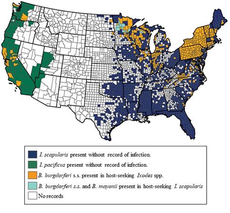 County Level Distribution Of Ixodes And Lyme Disease Spirochetes In Us