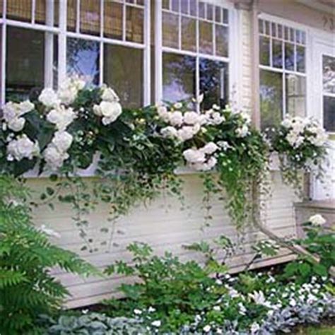 The many great features of these flower boxes include: Huge Gallery of Window Boxes to Share on Pinterest