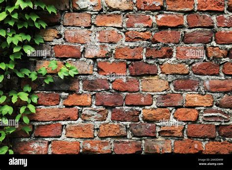 Old Brick Wall Background Texture Made Of Red Bricks With Wicker