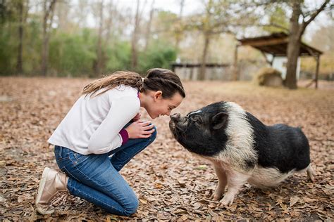 A Girl And Her Pig By Stocksy Contributor Paige Stumbo Stocksy