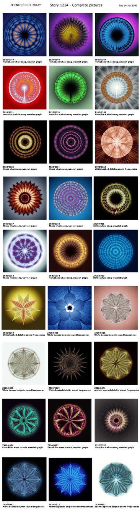 Geometry Matters Geometry Cymatics Sacred Geometry