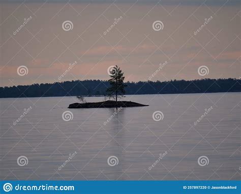 Small Island With A Tree In Lake Inari Stock Photo Image Of Finland